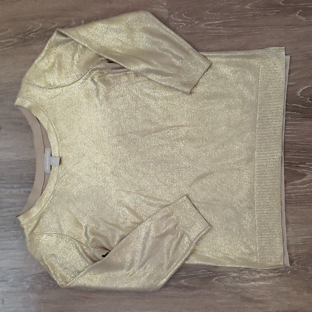 (S) Banana Republic Metallic Holiday Knit Beige Shine Boatneck Special Occasion